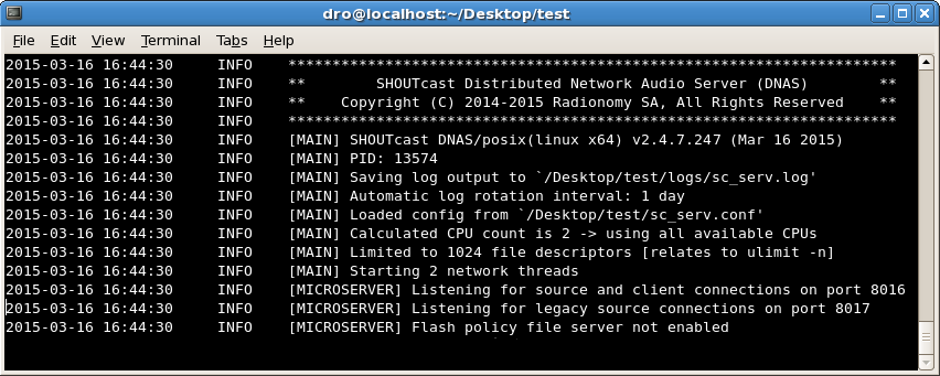Example of the Linux DNAS Server Running